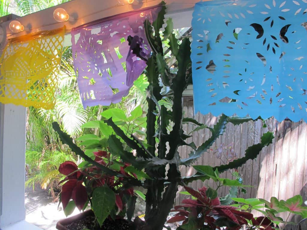 GLUTEN FREE GUIDE, KEY WEST: Old Town Mexican Cafe
