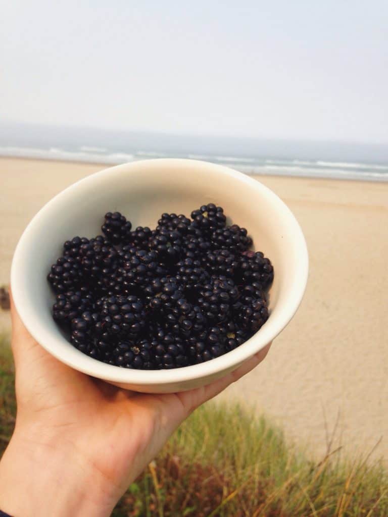 Weekend Stay in Cannon Beach