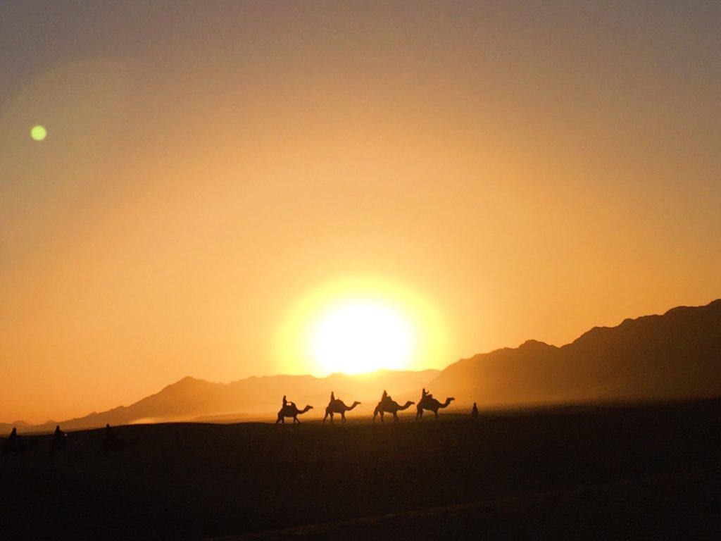 A Night in the Sahara Desert: Best Marrakech Tours to Sahara Desert