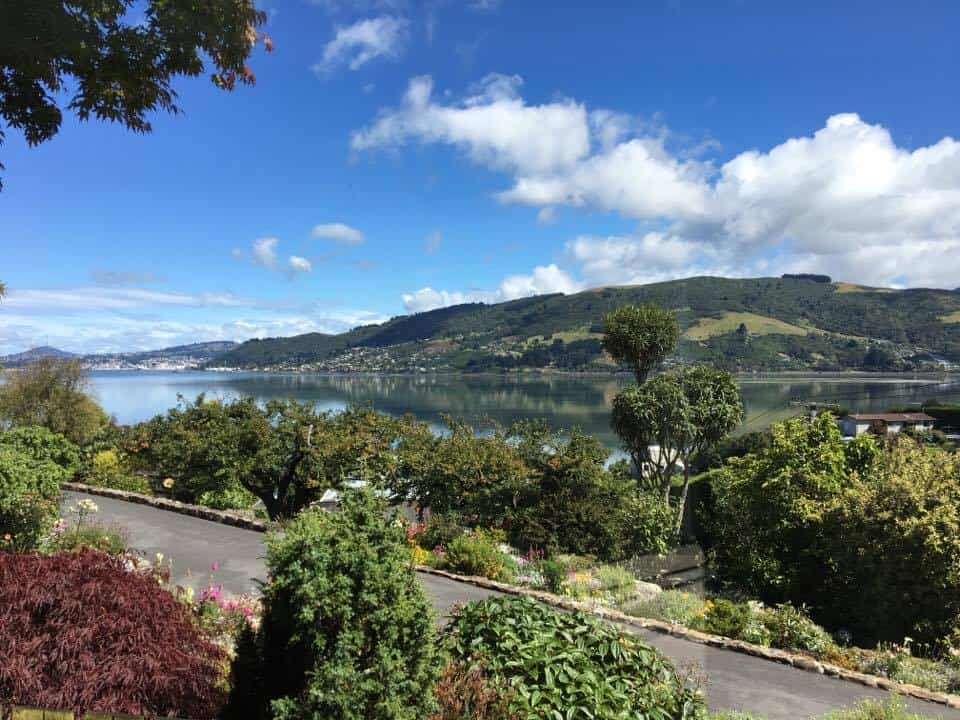 What is it like, fresh out of art school, living as an expat? Art and aupairing in New Zealand from a Michigander artist living in New Zealand.