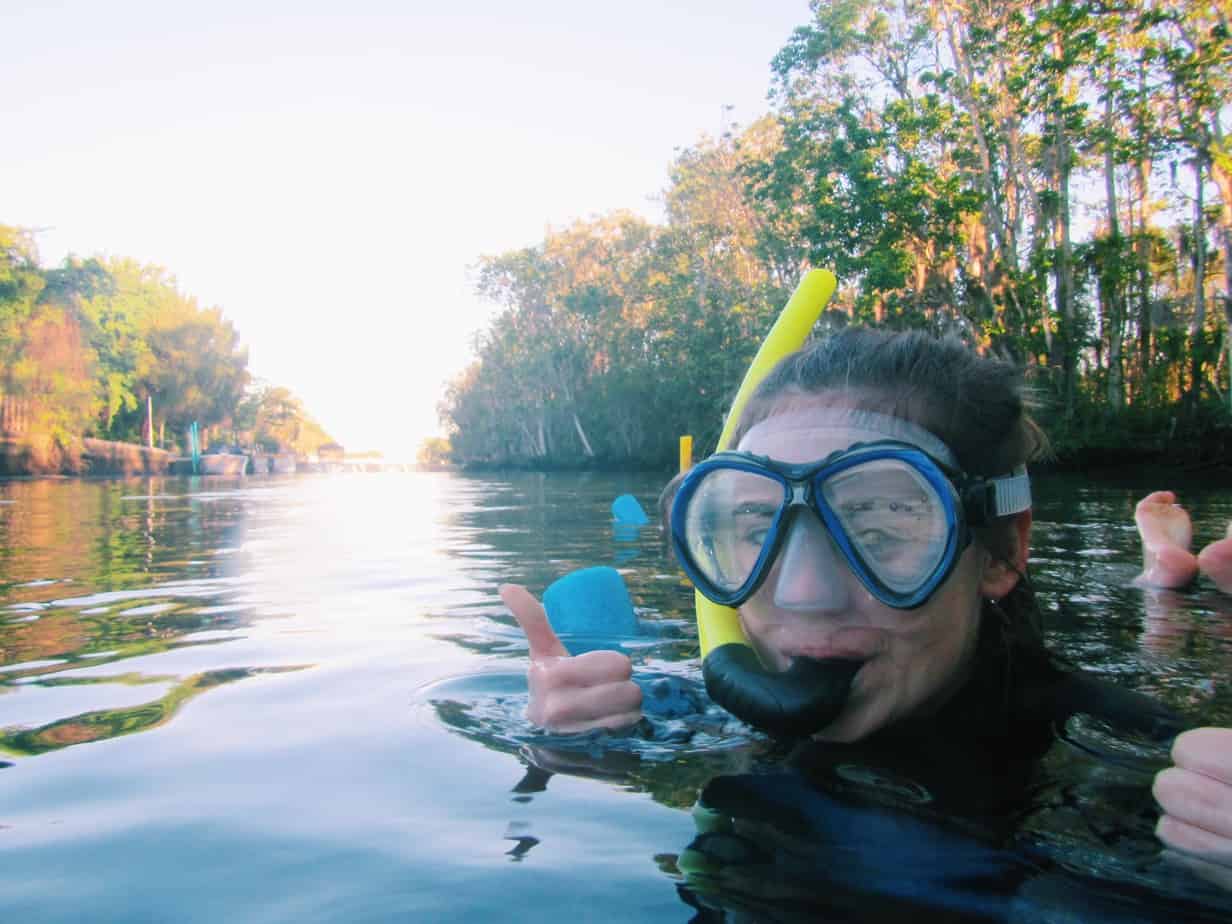 It's possible to sustainably swim with manatees in Florida! From the best tour, when to go, and more, read on to see how you can swim with manatees too.