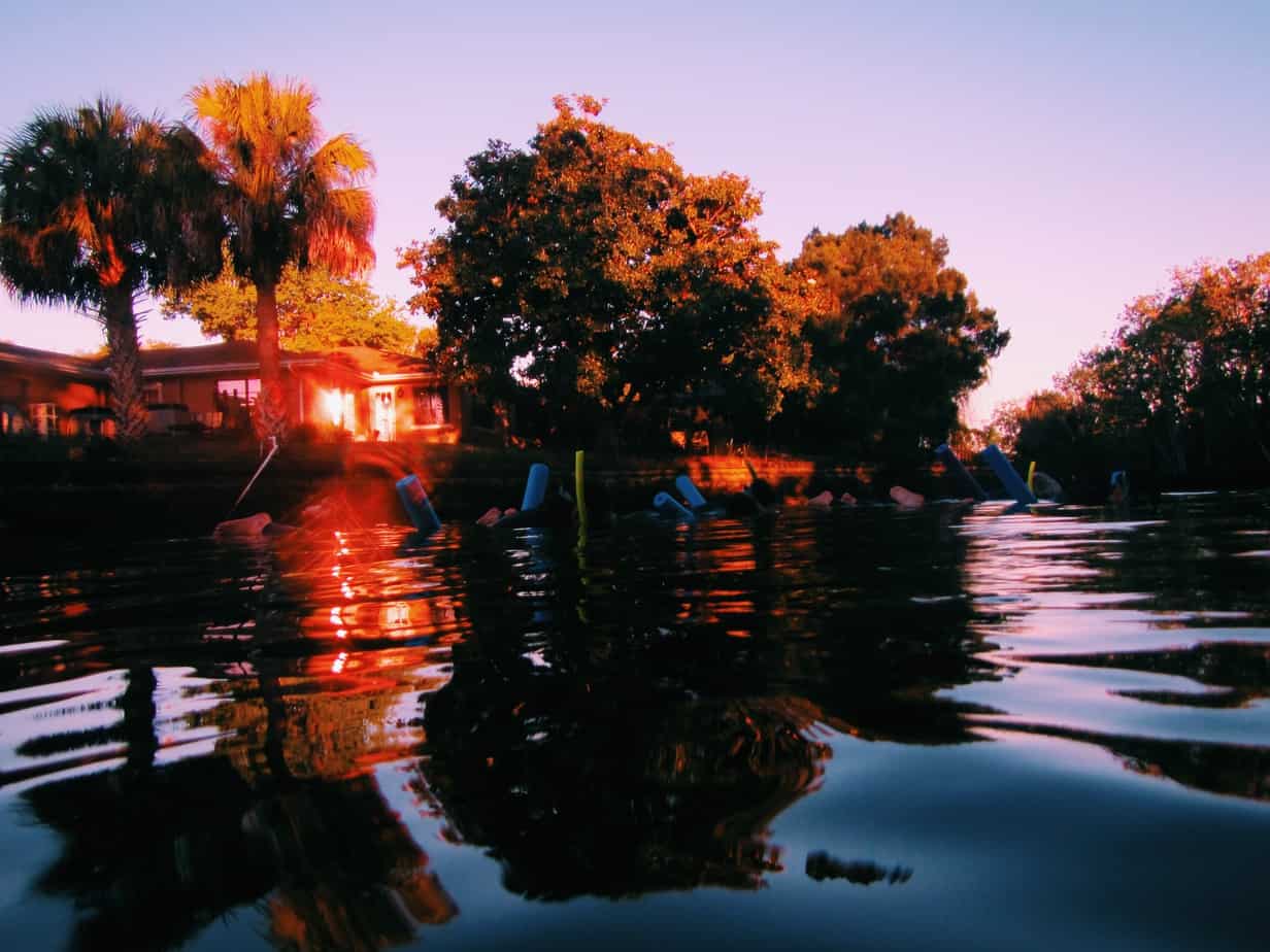 It's possible to sustainably swim with manatees in Florida! From the best tour, when to go, and more, read on to see how you can swim with manatees too.
