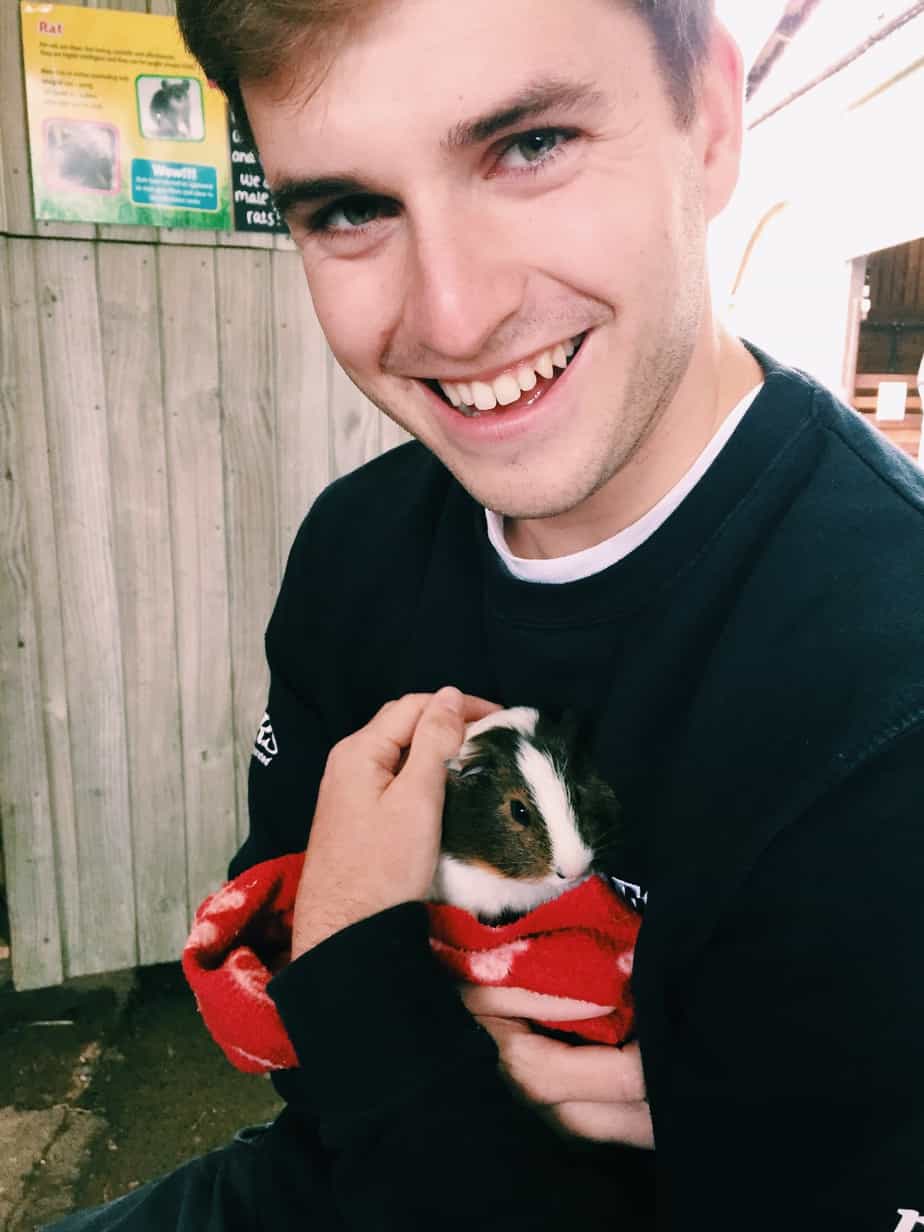 Check cuddling mini pigs in England off your bucket list at Pennywell Farm! I give you all the details including how to get to Pennywell Farm and more. #pennywellfarm #devon #england #travel #minipigs