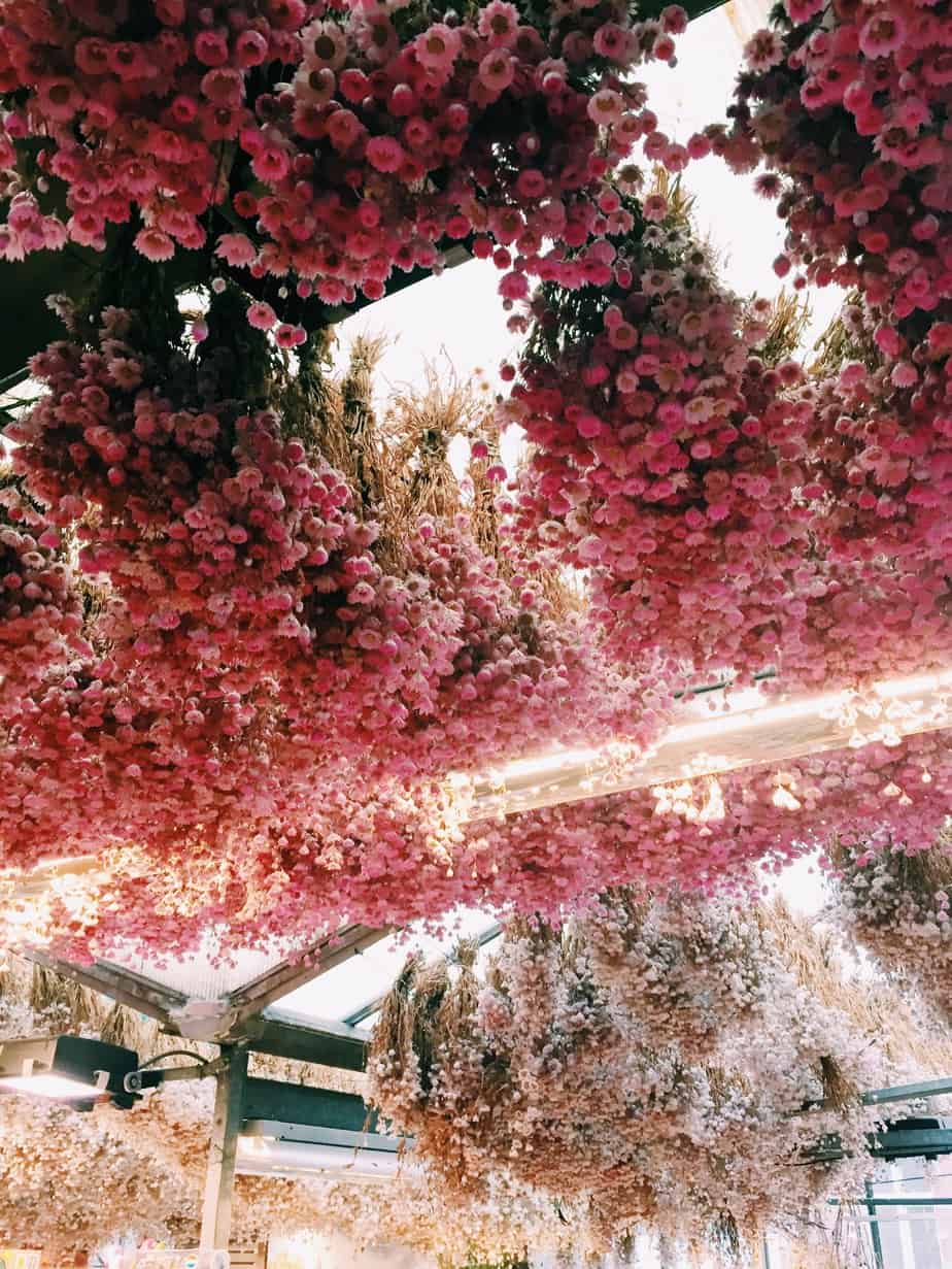 The pink ceiling of Amsterdam's floating flower market on a morning of exploration. The cheapest hotel for an instagram- and eco-friendly stay in Amsterdam: Ecomama Hotel Amsterdam is cozy, sustainable and made my time in Amsterdam special.