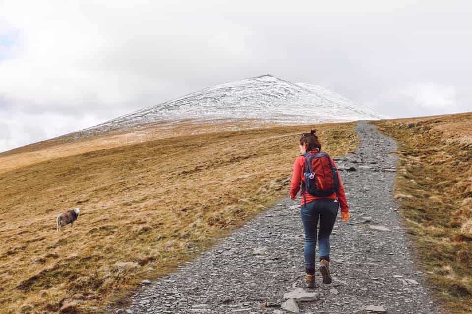 If you're trekking Everest Base Camp, then you need an Everest Base Camp training plan. Read about the pillars of training, and access a free training plan. #everestbasecamp #everestbasecamptraining #trainingforeverestbasecamp #everestbasecamptrek #highaltitudetrekking #nepaltravel #visitnepal If you're trekking Everest Base Camp, then you need an Everest Base Camp training plan. Read about the pillars of training, and access a free training plan. #everestbasecamp #everestbasecamptraining #trainingforeverestbasecamp #everestbasecamptrek #highaltitudetrekking #nepaltravel #visitnepal