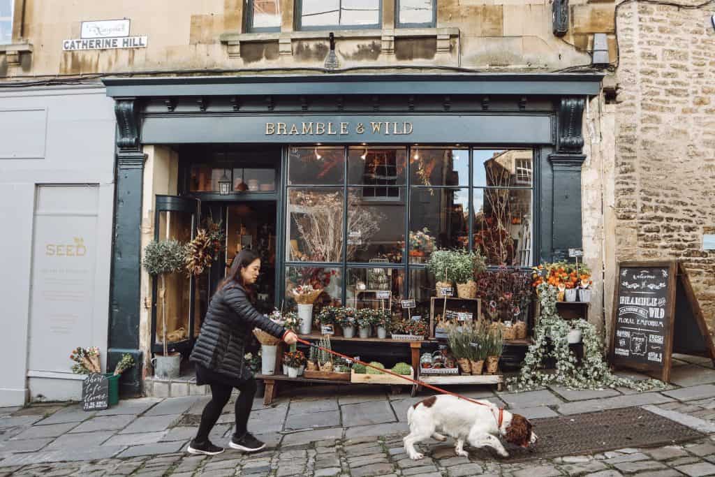 Looking for things to do in Frome? Frome is England's new favorite village - filled with indie shops and cobbled streets. But is it more than a pretty face? #fromesomerset #fromeuk #fromeengland #somerset #thingstodoinfrome #whattodoinfrome #discoverfrome