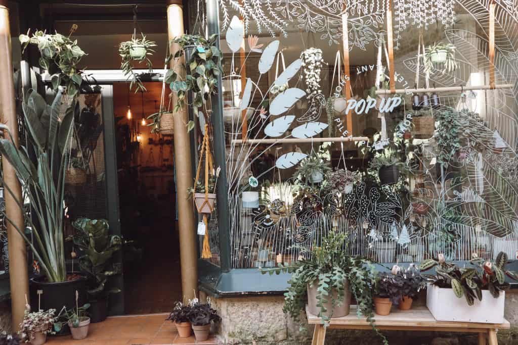 The plants look like they're breaking out of the Pilea Plant Shop!