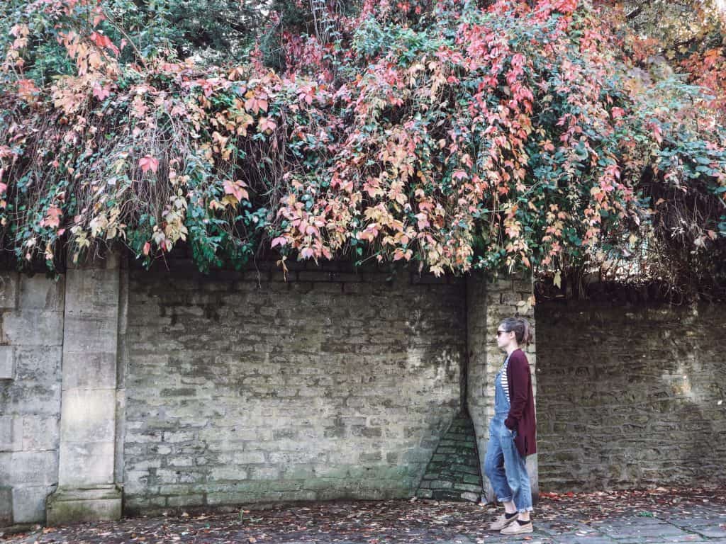 Looking for things to do in Frome England? Frome is filled with indie shops, cobbled streets, and cute cafes. Is it more than a pretty face?