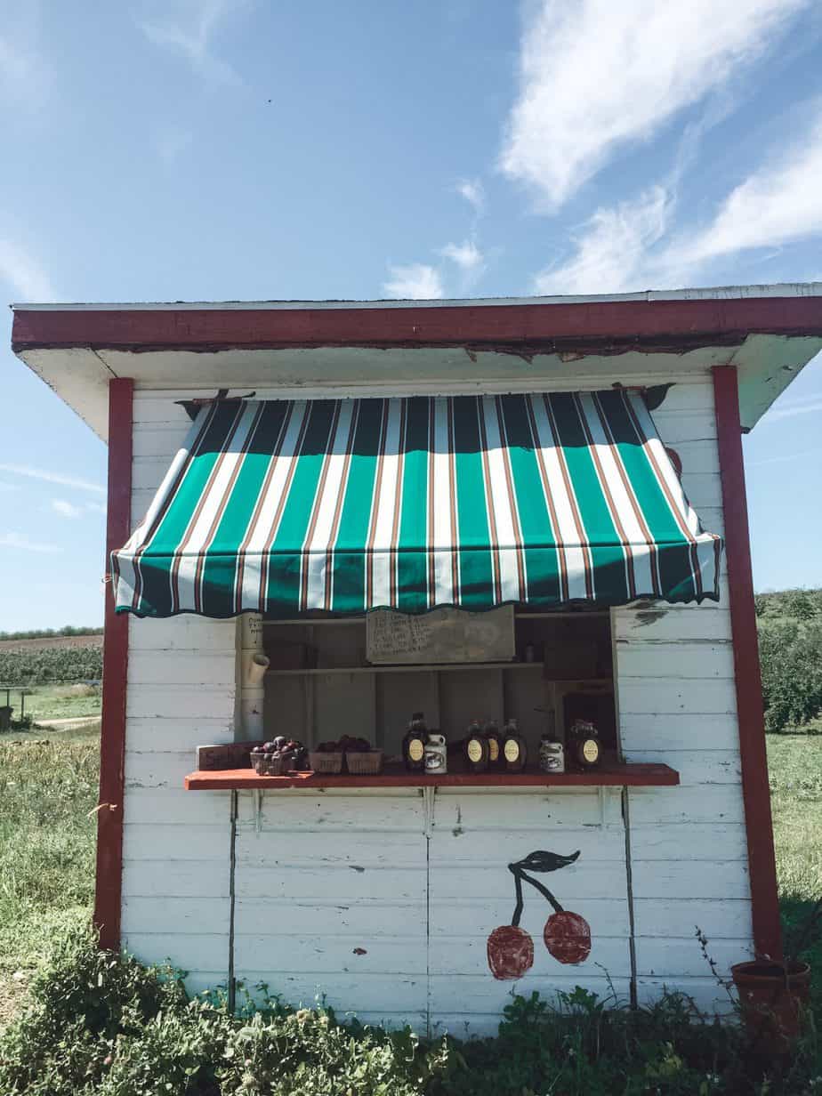 Old Mission Peninsula Wineries 14