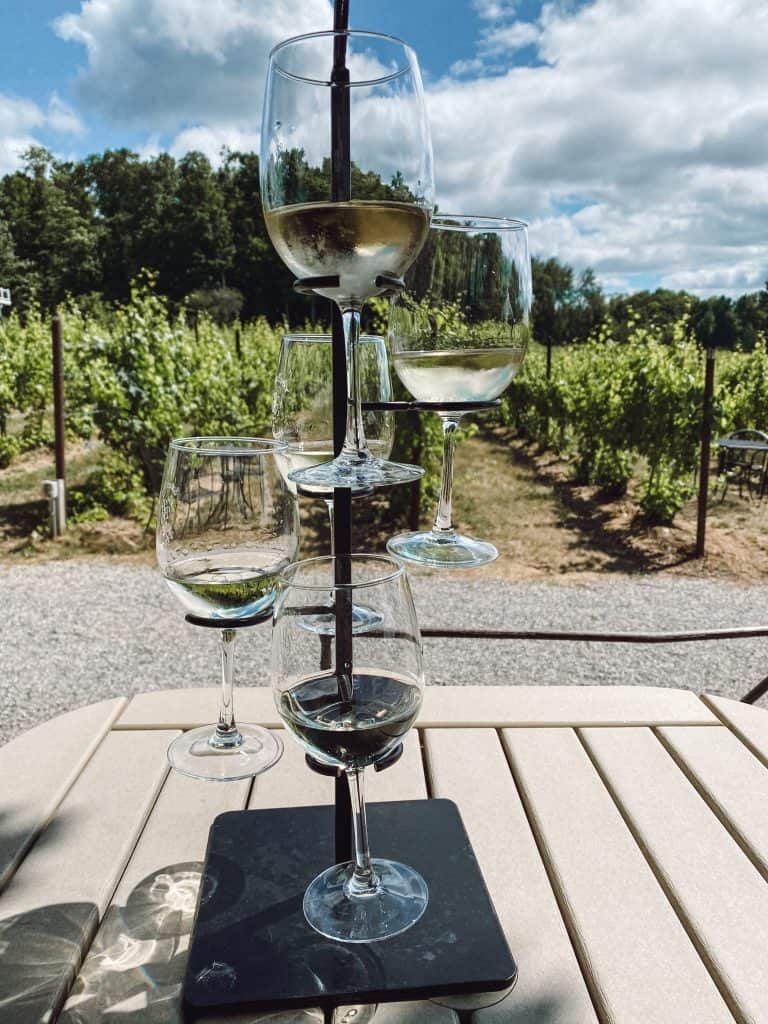 Planning a wine tasting trip to Old Mission Peninsula in Northern Michigan? Here are the 10 best Old Mission Peninsula wineries you need to stop at.