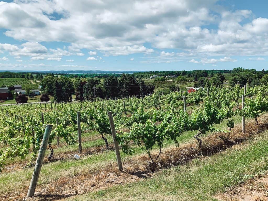 Chateau Chantal - an Old Mission Peninsula winery