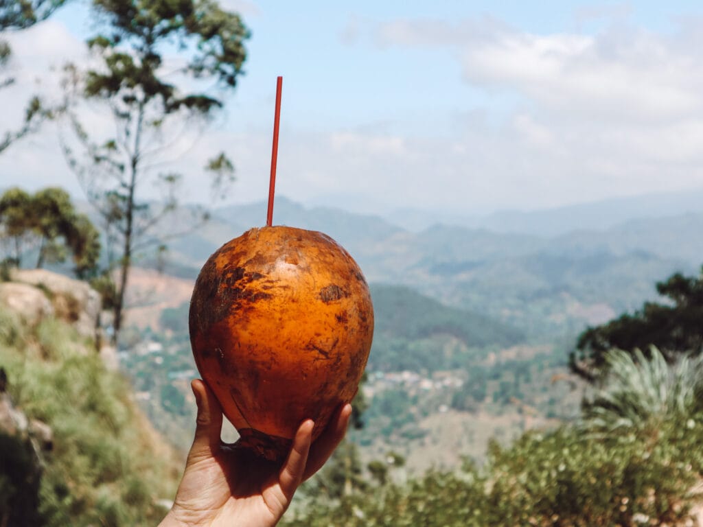 coconut in ella sri lanka