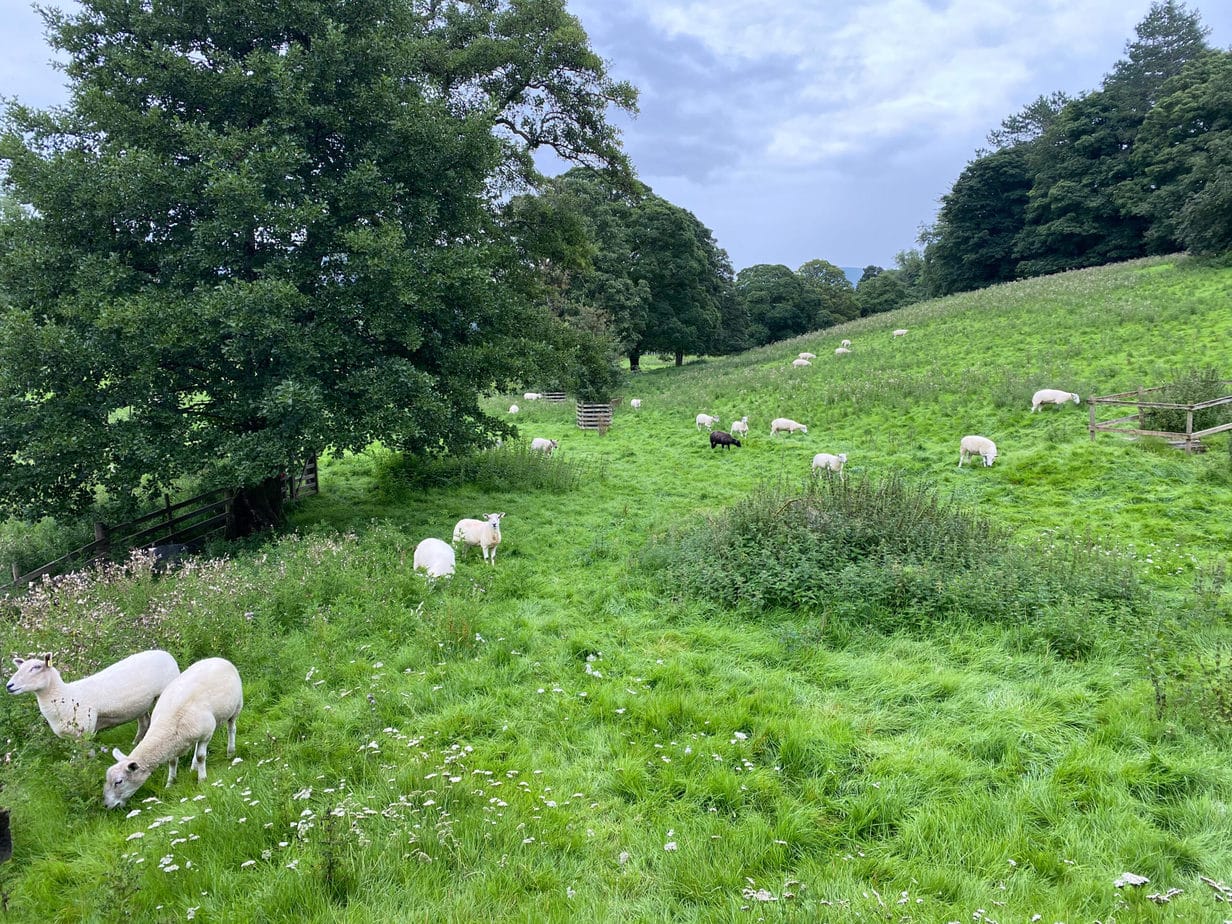 keswick walks 41 - Endless Distances