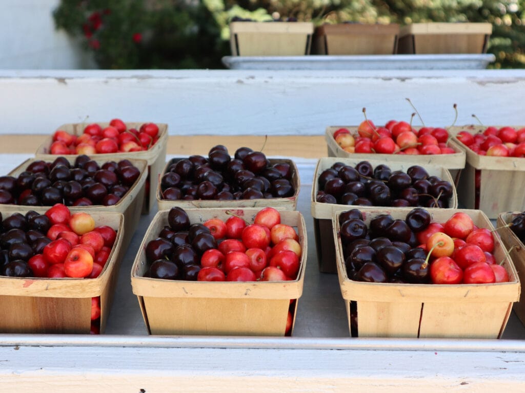 cherries at cherry point farm market in michigan