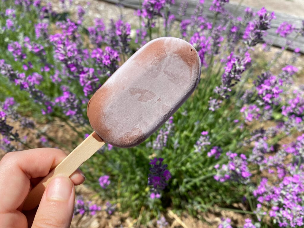 fudgesicle and lavender
