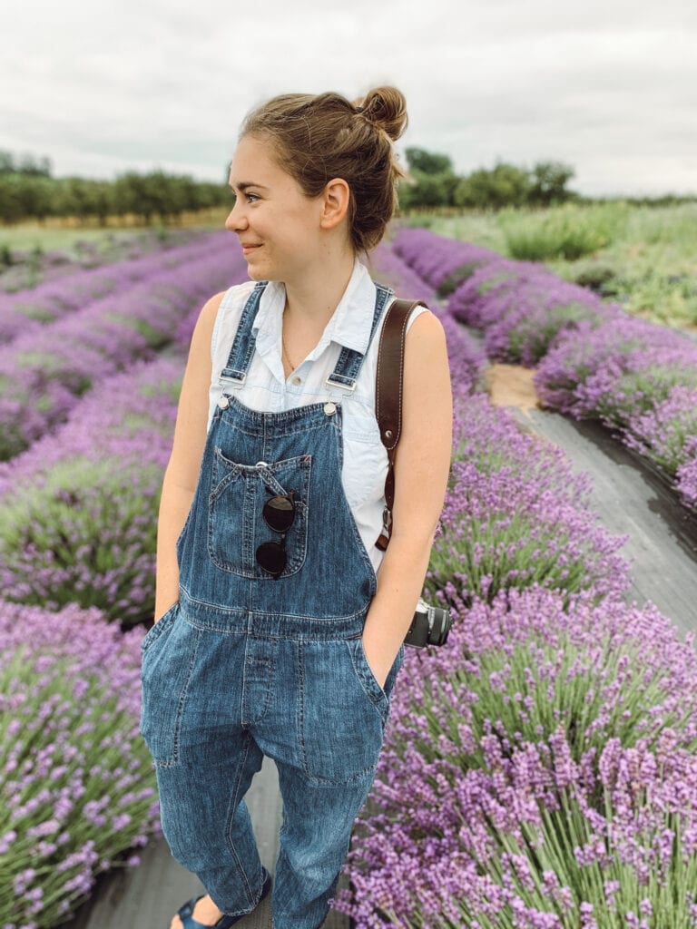 lavender farms in michigan