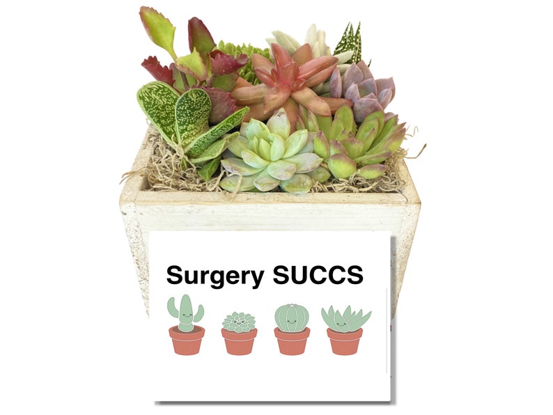 succulent planter with surgery succs card