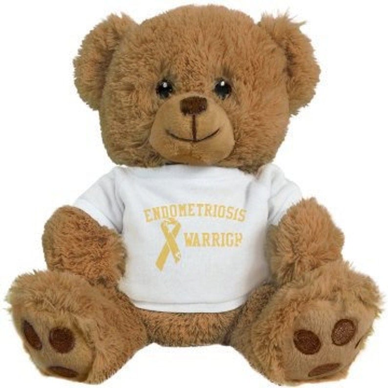 Endometriosis warrior teddy bear for an endometriosis care package