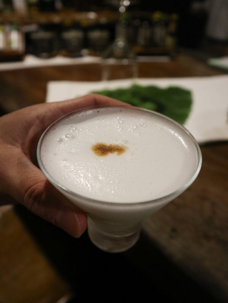 Pisco sour at Inkaterra Reserva Amazonica