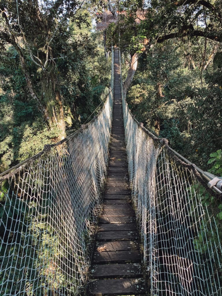 Treetop canopy walkway at Inkaterra