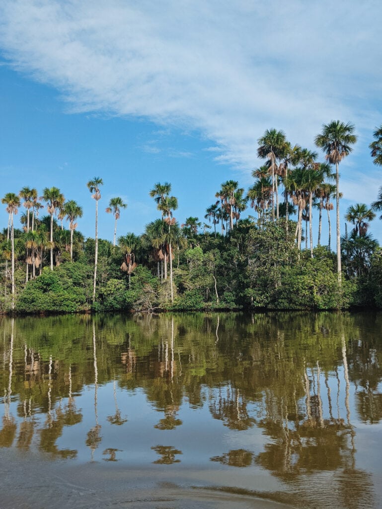 Lake Sandoval