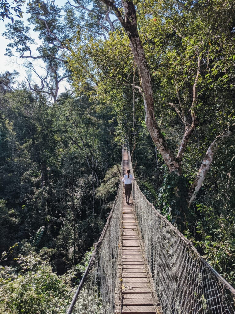 Treetop canopy walkway at Inkaterra Reserva Amazonica