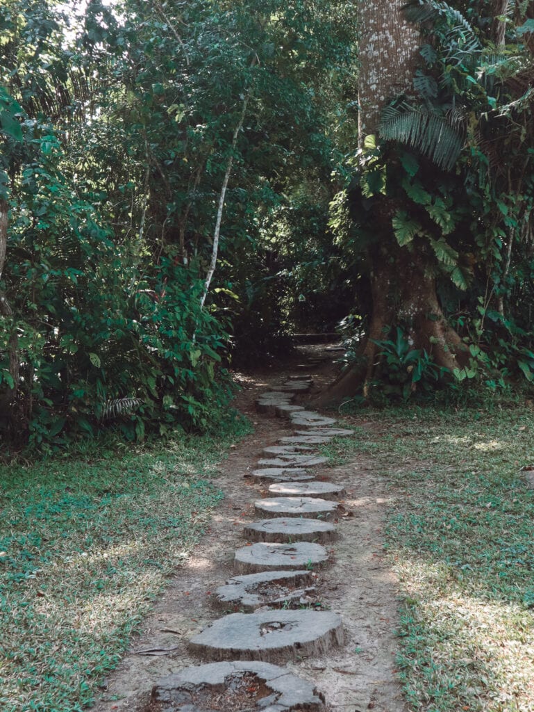 Visiting the Peruvian Amazon is a bucket list item. The Peruvian Amazon covers 60% of Peru. Inspire your trip with these photos and tips.