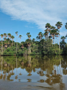 Visiting the Peruvian Amazon is a bucket list item. The Peruvian Amazon covers 60% of Peru. Inspire your trip with these photos and tips.