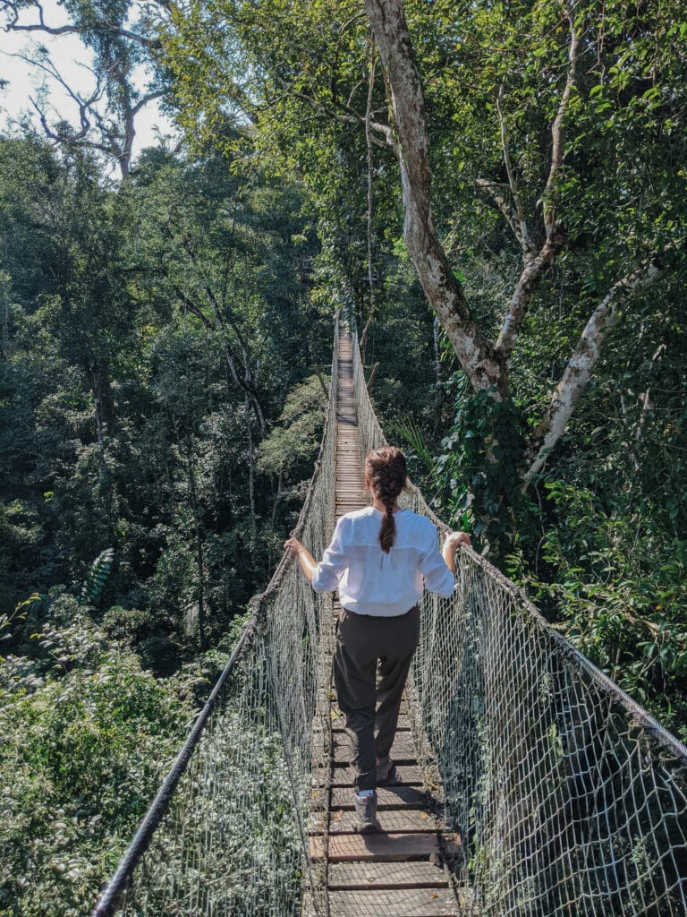 Hanging bridge at the Inkaterra canopy walkway