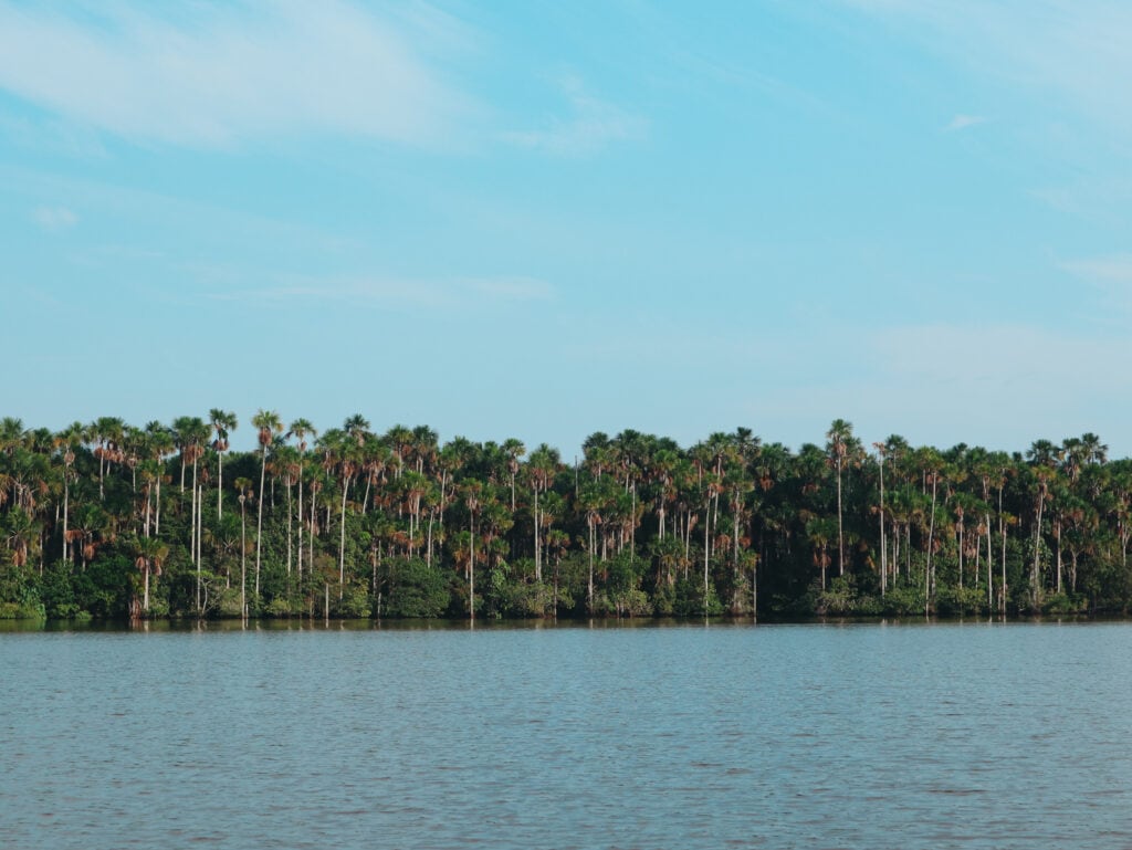 Visiting the Peruvian Amazon is a bucket list item. The Peruvian Amazon covers 60% of Peru. Inspire your trip with these photos and tips.