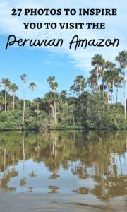 Visiting the Peruvian Amazon is a bucket list item. The Peruvian Amazon covers 60% of Peru. Inspire your trip with these photos and tips.
