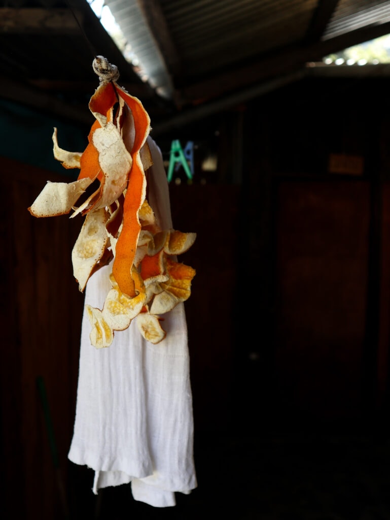 Drying orange peels and dish towels at a remote coffee farm in Peru