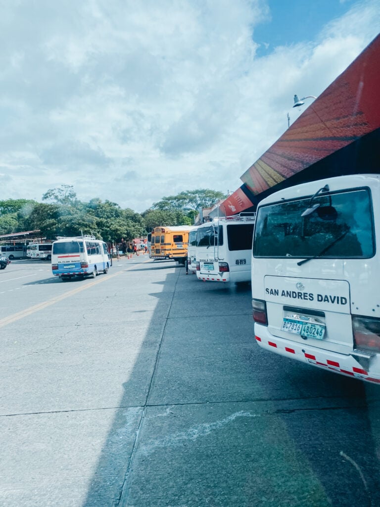 the david bus station