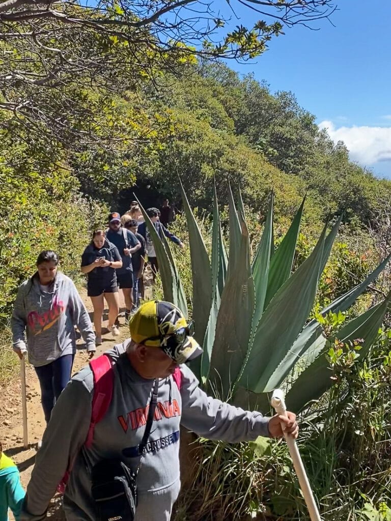Crowd of people on hiking trail