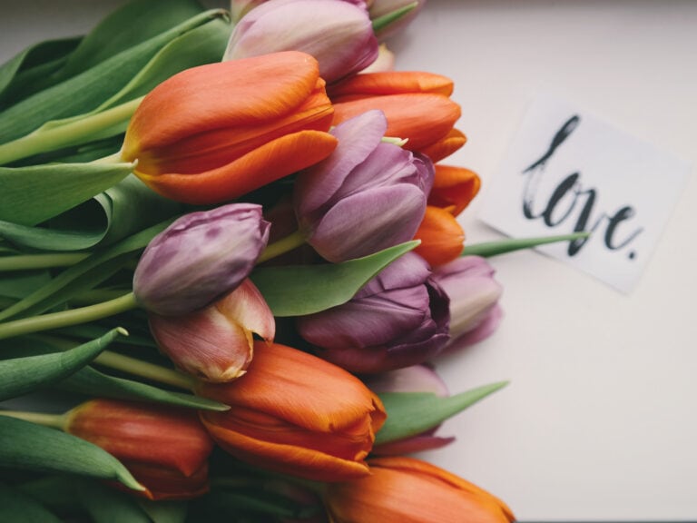 Starting a Long Distance Relationship: The Ultimate Guide