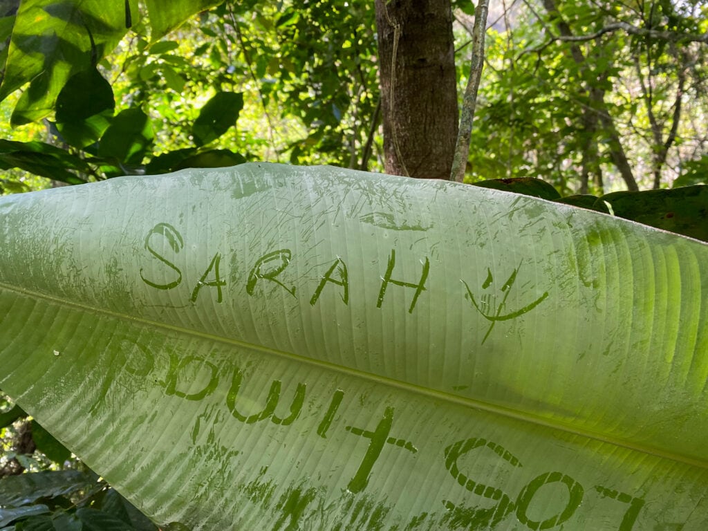 The back of a leaf with a white powder covering it, with "SARAH" "smiley face" written into the powder.