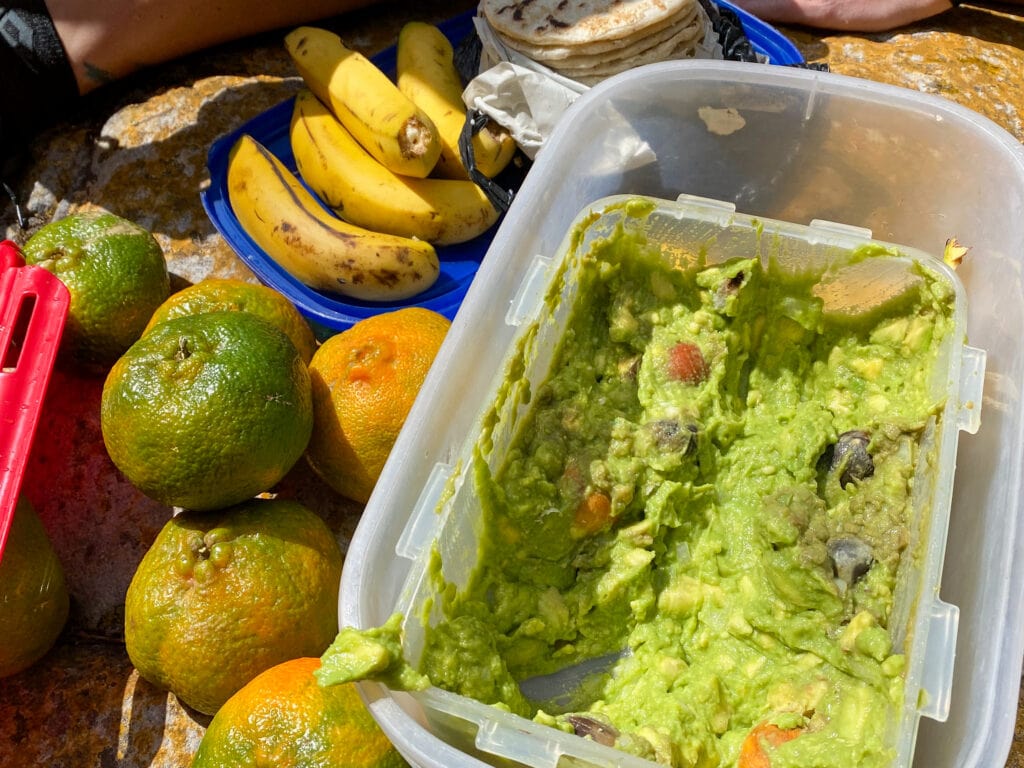 A tupperware of guacamole next to some oranges.