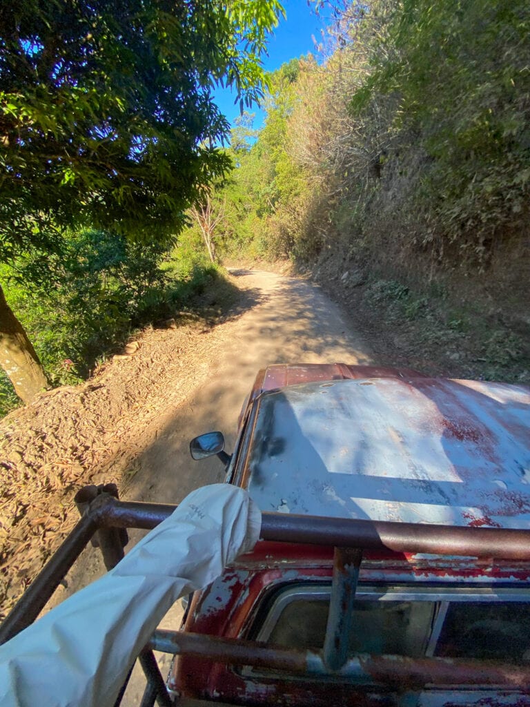 Sarah's arm holds on tight to the bars on the pickup truck as it drives down a dirt road with green forest on either side.
