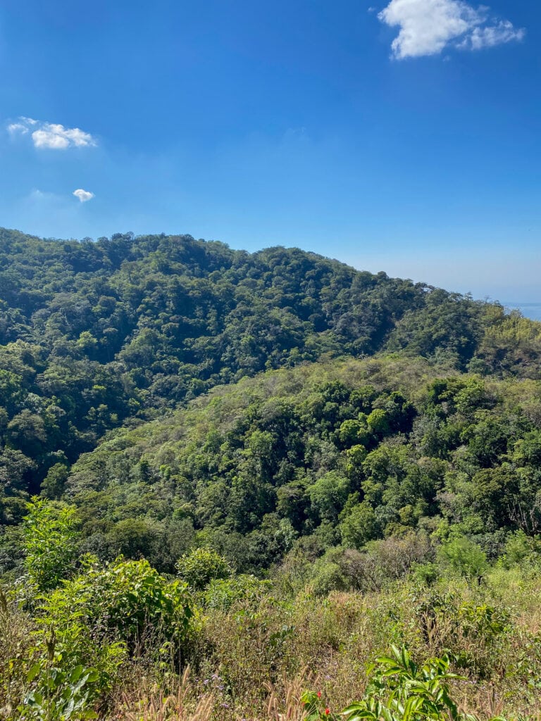 Views of the forest at El Impossible National Park in El Salvador.