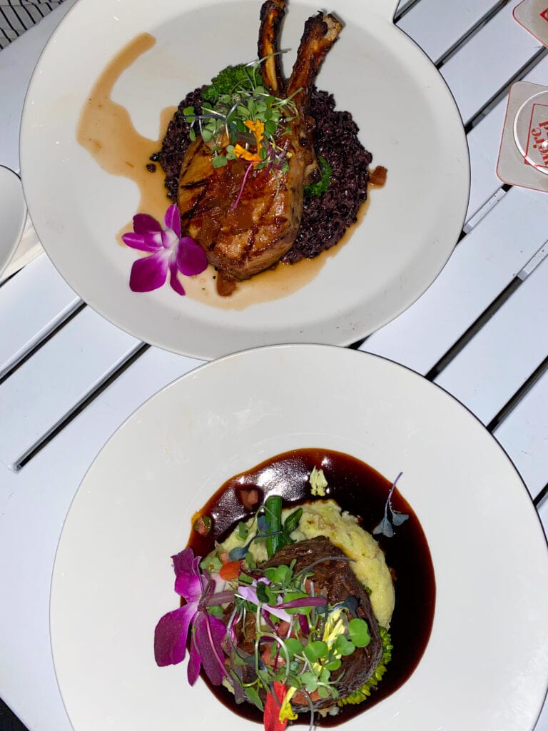 Aerial shot of two dinner plates with meat on them.