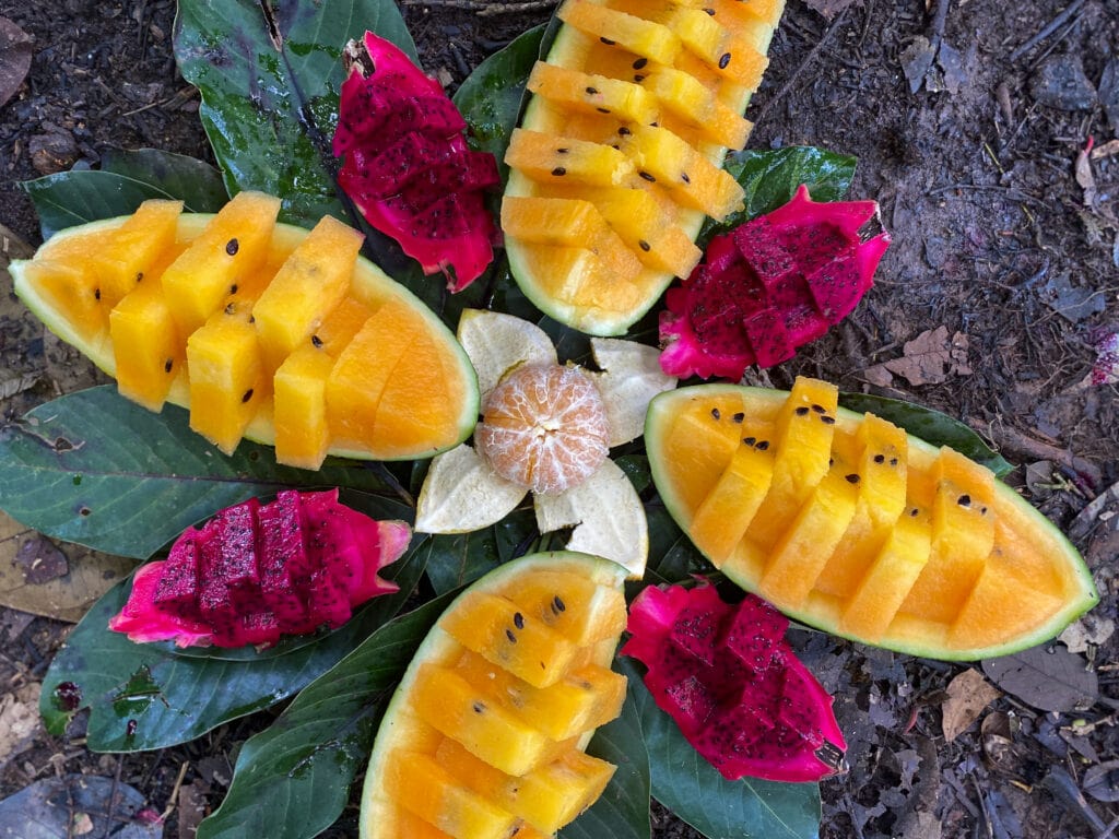 Fruit snack during orangutan jungle trek in Sumatra