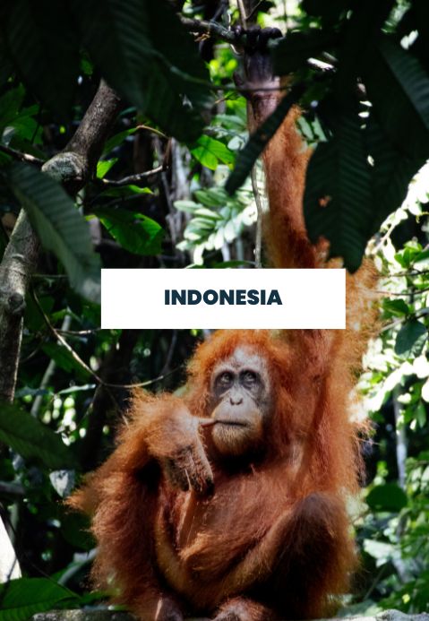 Indonesia