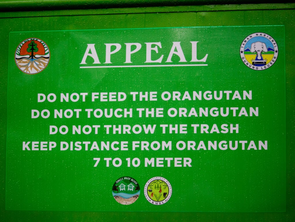 Green sign at entrance to Gunung Leuser National Park, that reads "do not feed the orangutan, do not touch the orangutan, do not throw the trash, keep distance from orangutan 7 to 10 meter"