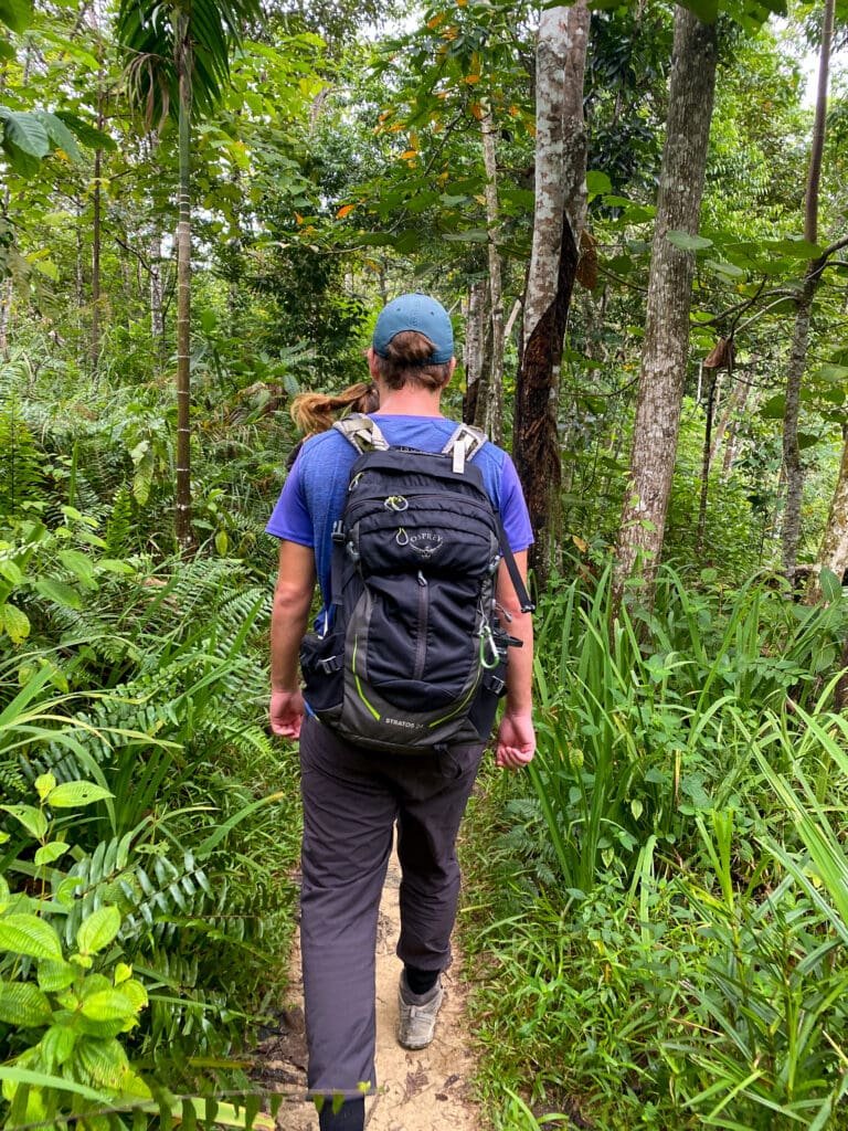 Dan hikes through grassy jungle path.