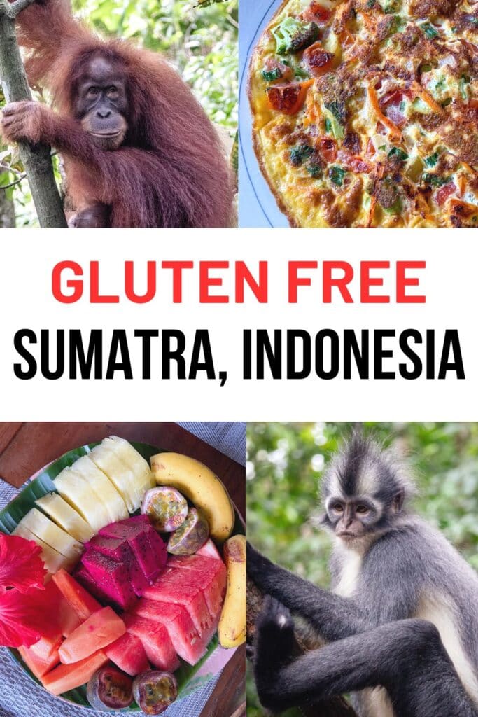 A celiac safe guide to eating gluten free in Sumatra, Indonesia, one of the last two places in the world where you can see orangutans.