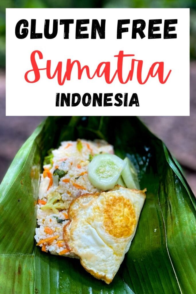 Your complete guide to eating gluten free in Sumatra, Indonesia, one of the last two places in the world where you can see orangutans.