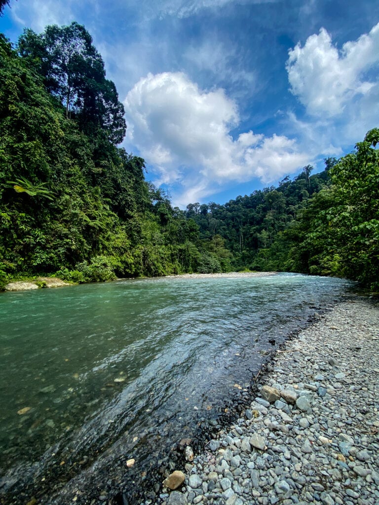 Bukit Lawang Sumatra river