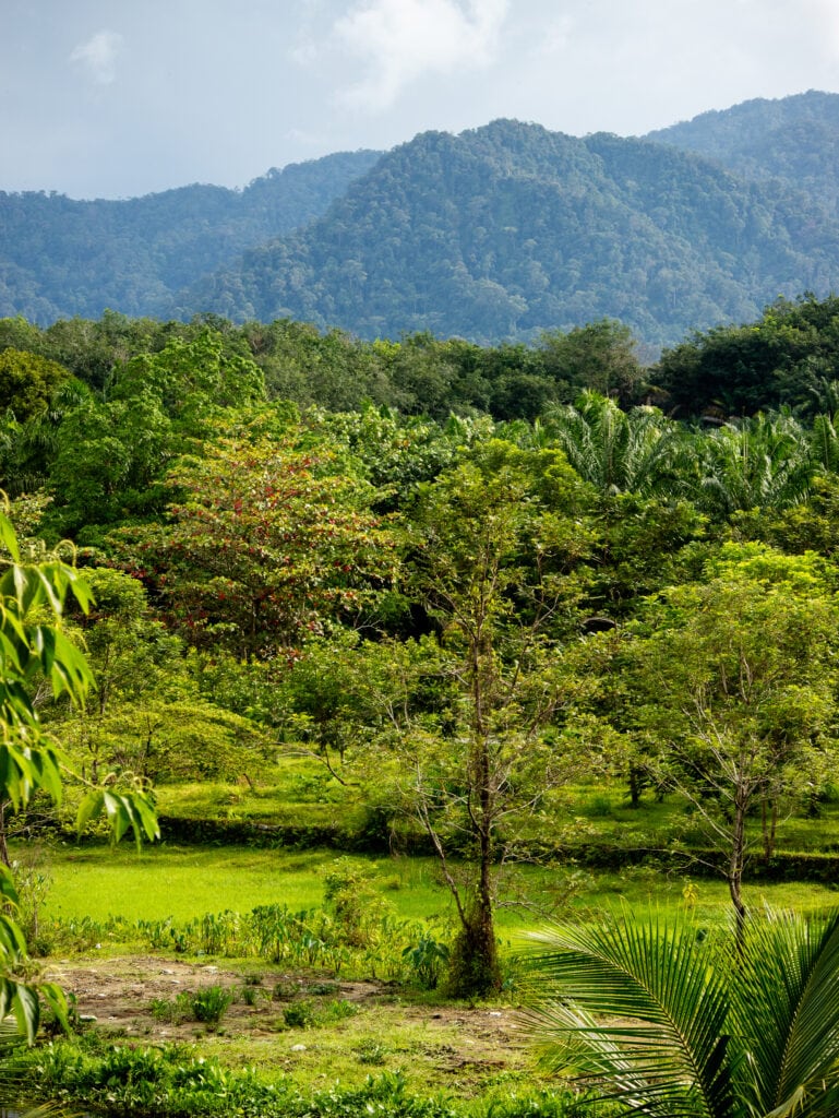 Sumatra Indonesia