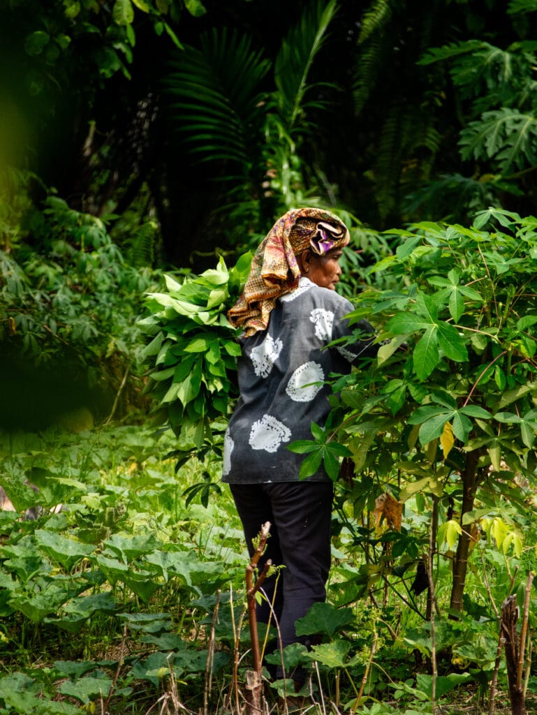 Sumatran woman gardens