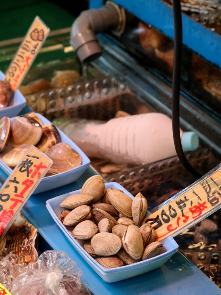 Tsukiji fish market seafood